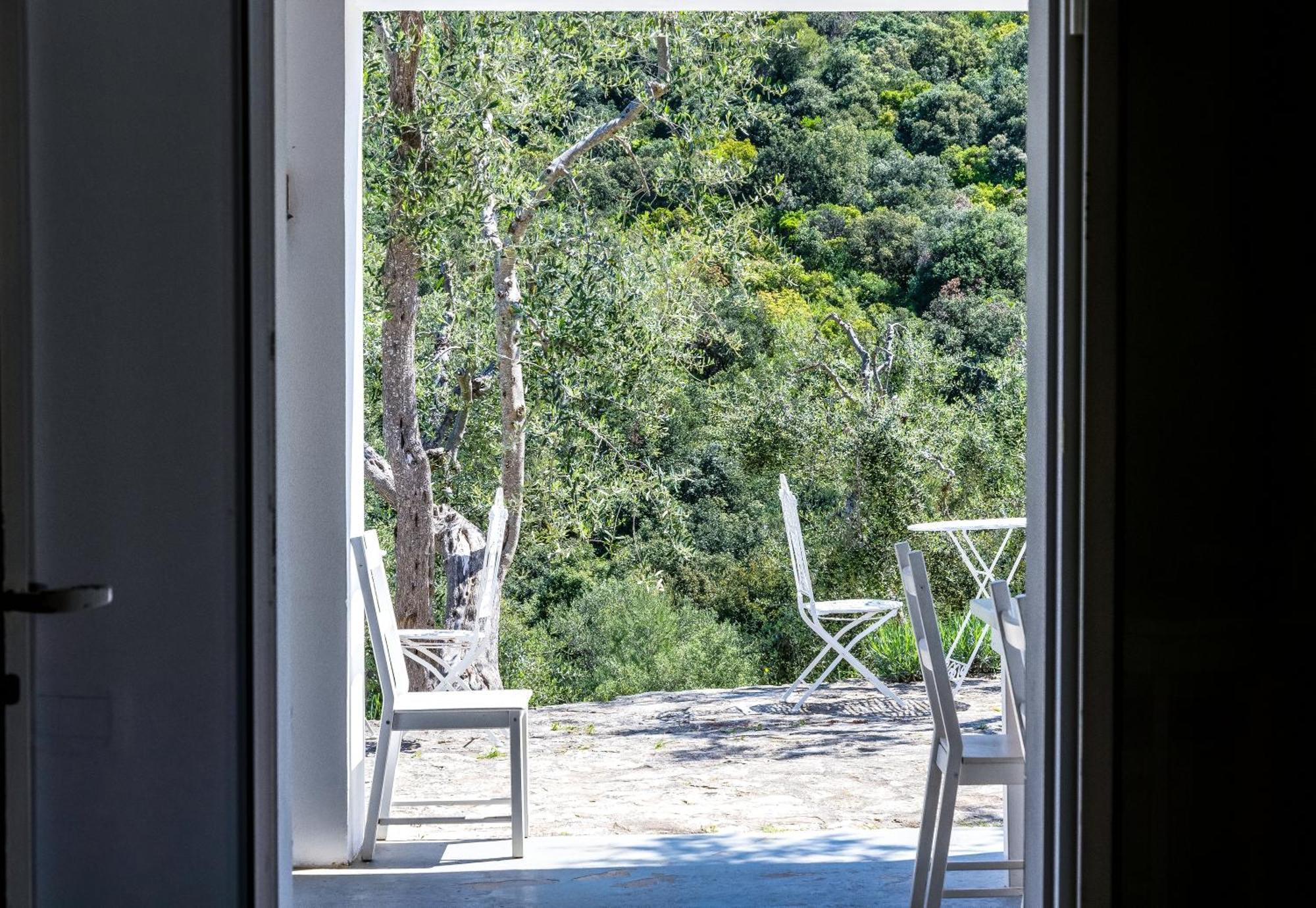 Shanti Home (Adults Only) Vieste Extérieur photo